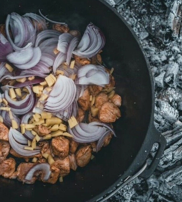Stekpannor för eld: råd och tips för val